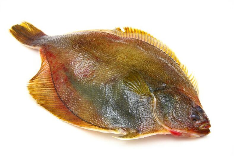 Lepényhal