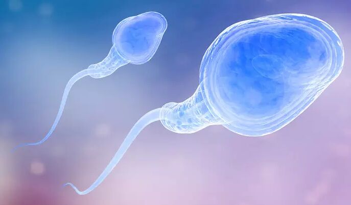 A férfi preejakulátumában spermiumok lehetnek jelen